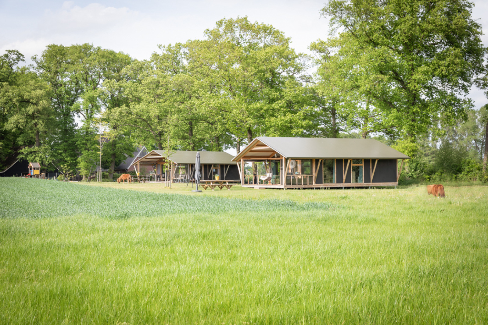 Luxe lodge nieuw cover