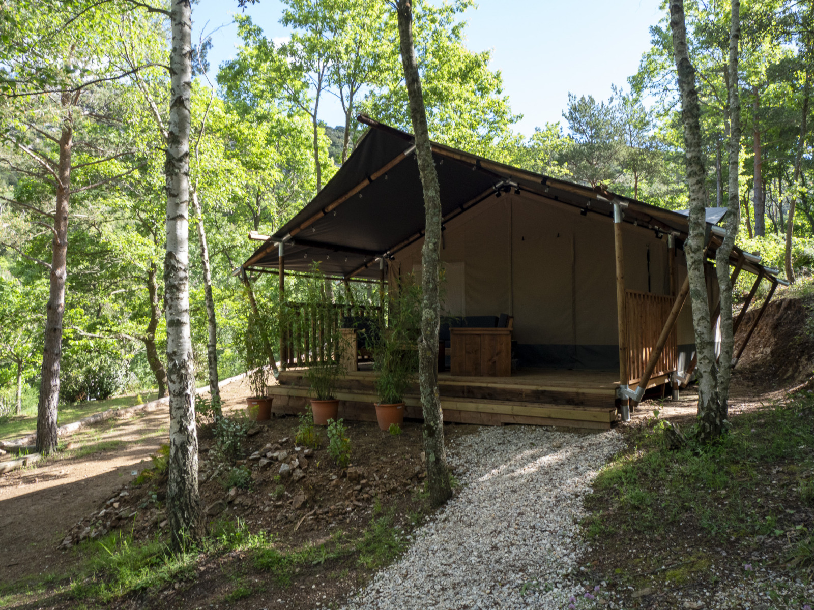 Safari Lodge