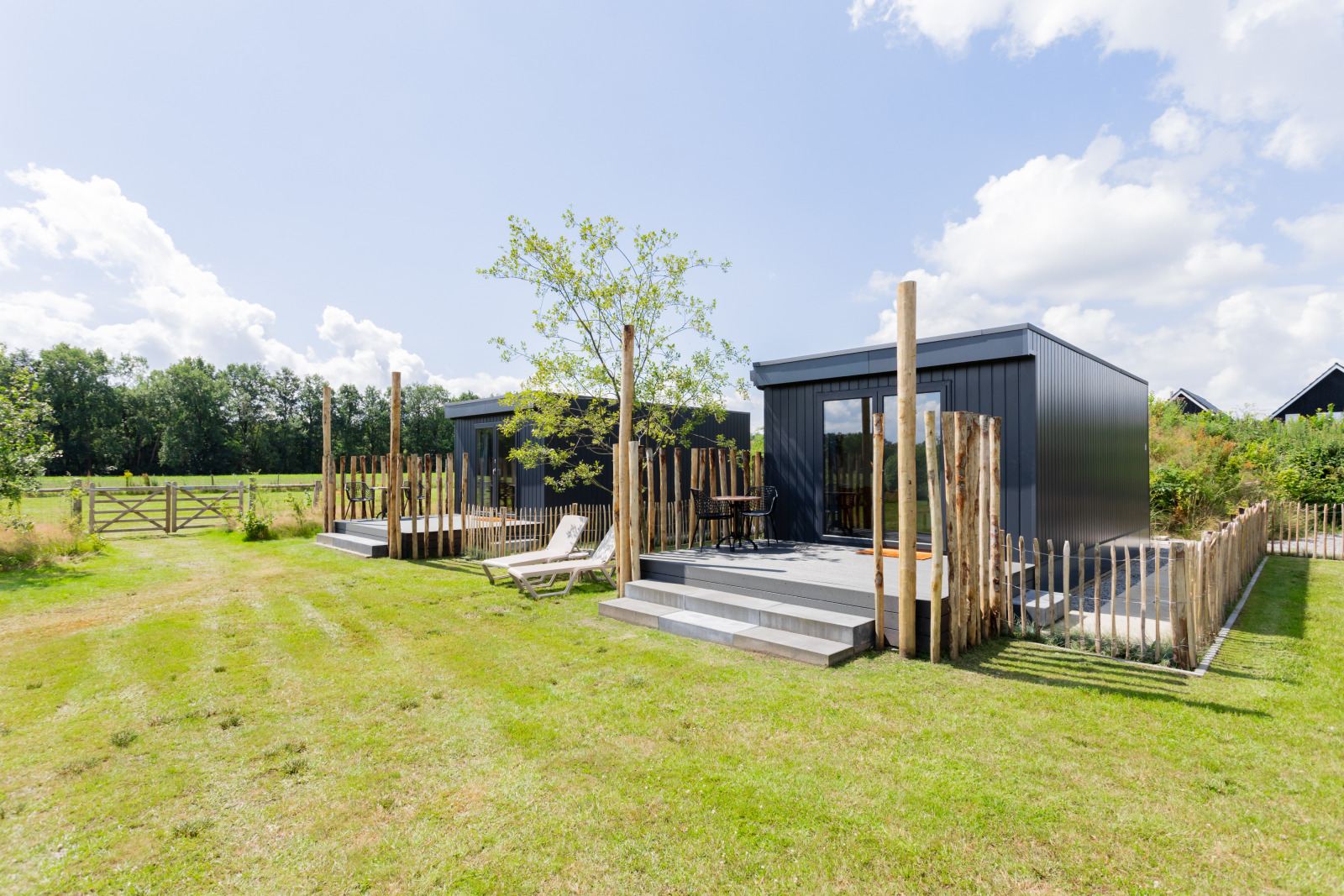 «Tiny House» cover