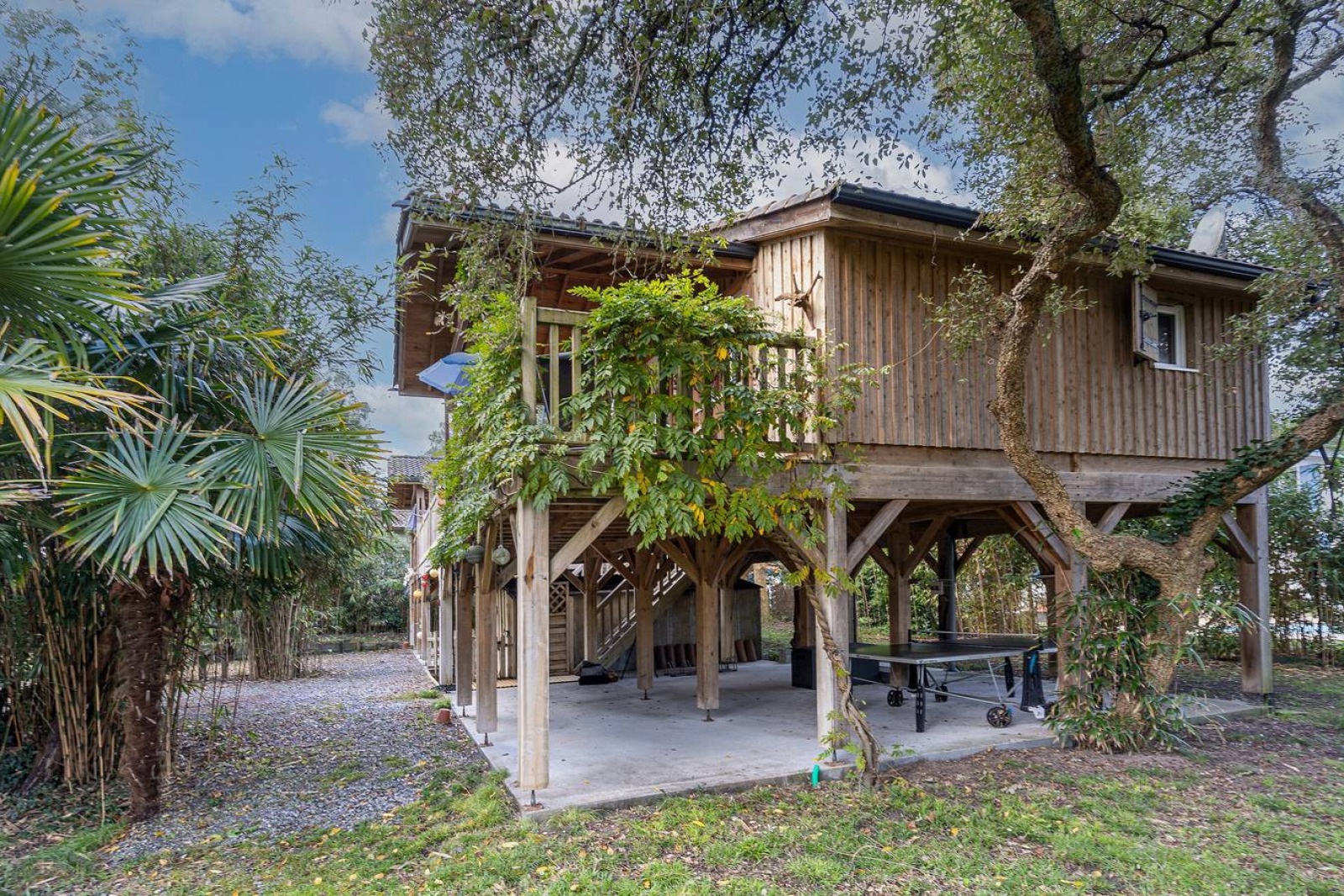 Boomhuis «Oasis»