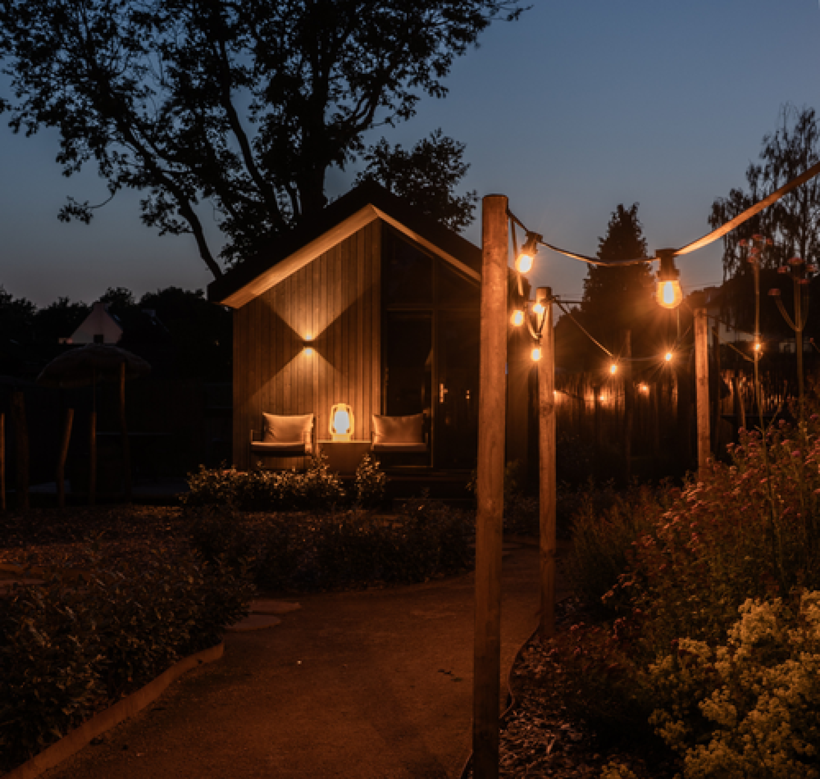«Tiny House» cover