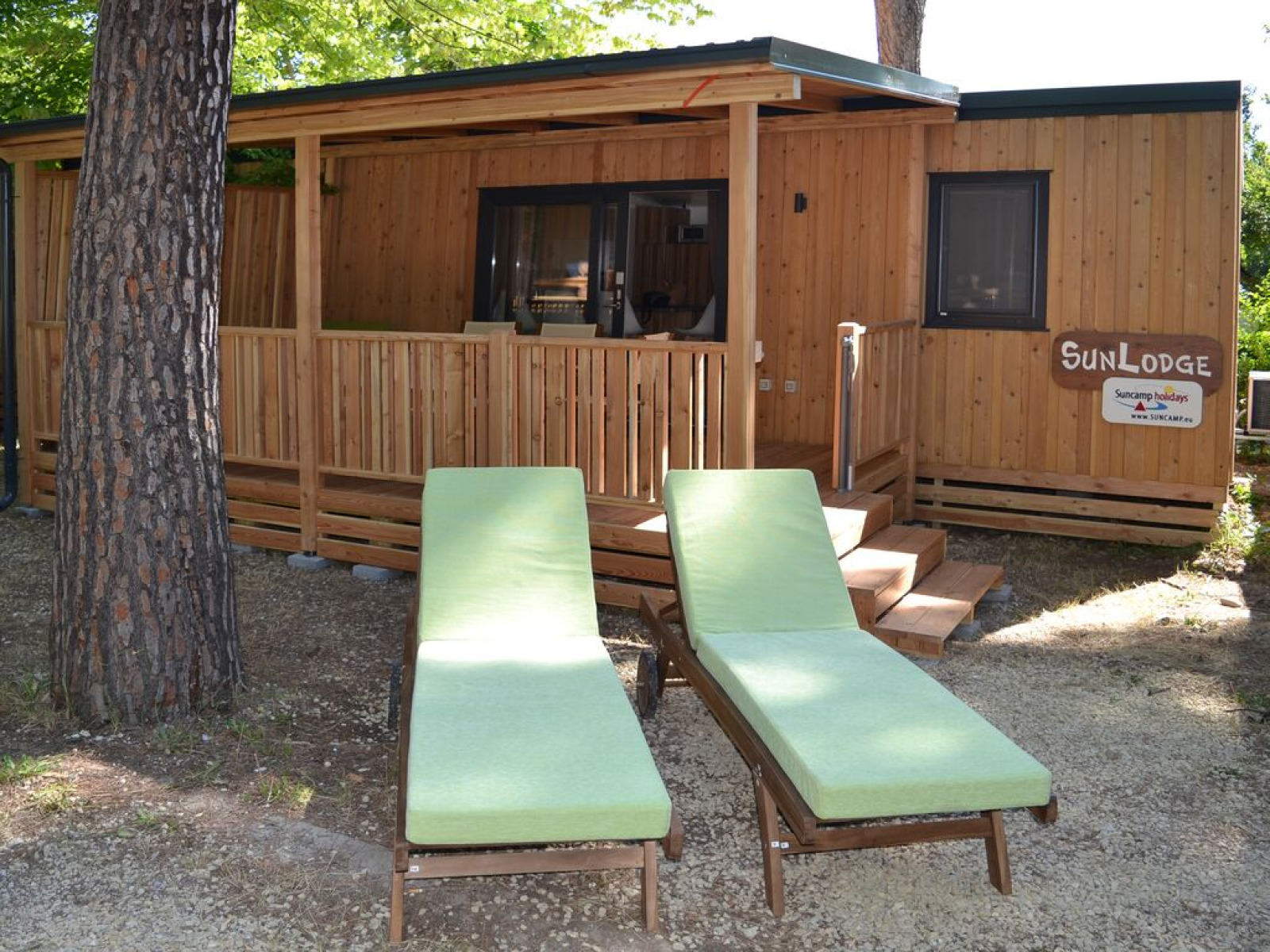 «SunLodge Catalpa» cover