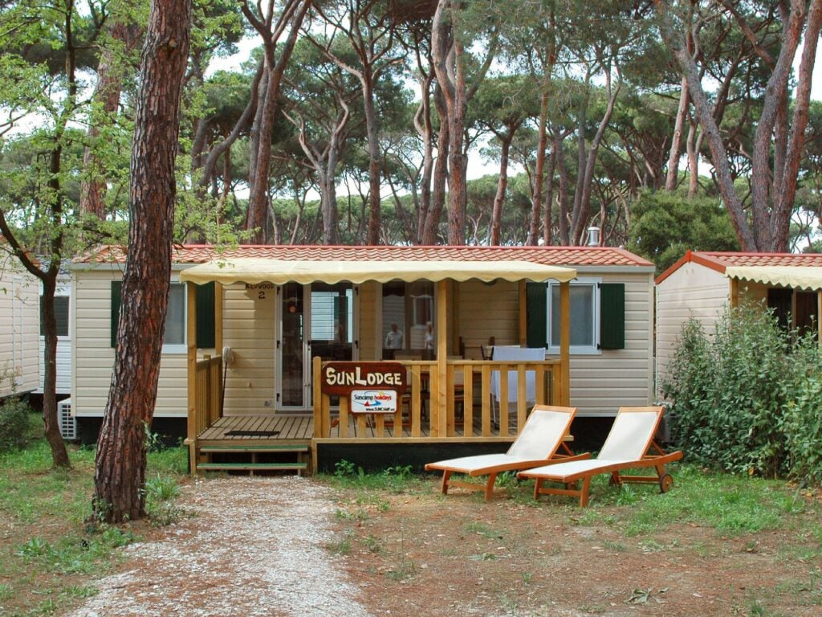 «SunLodge Redwood» cover