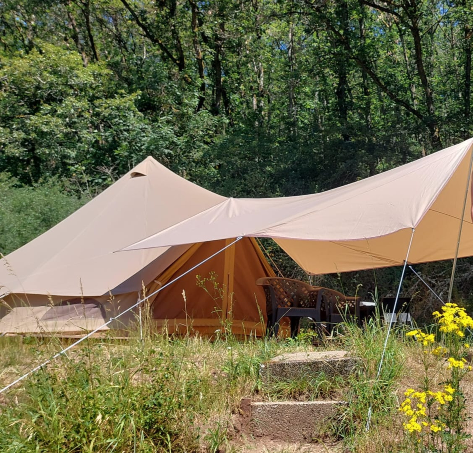 «Belltent» cover