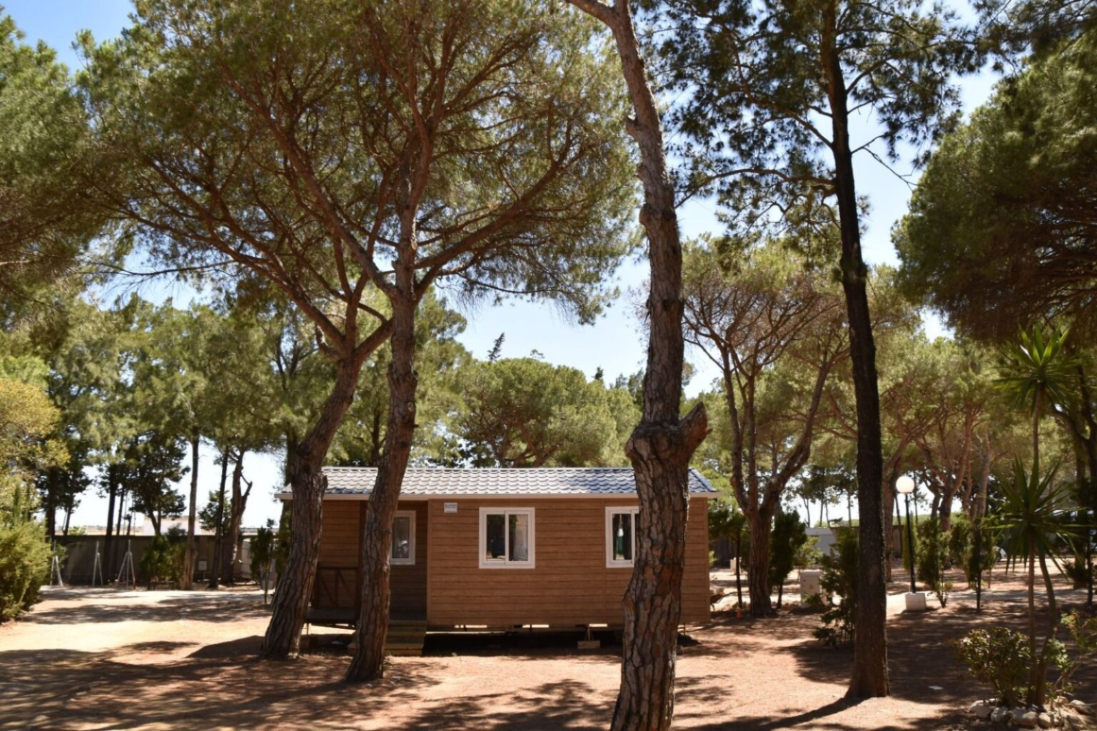 Bungalow «Confort Poniente» cover