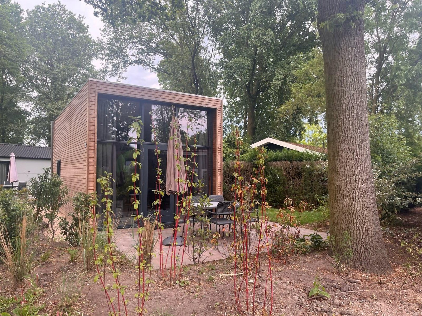«Tiny House 2» cover
