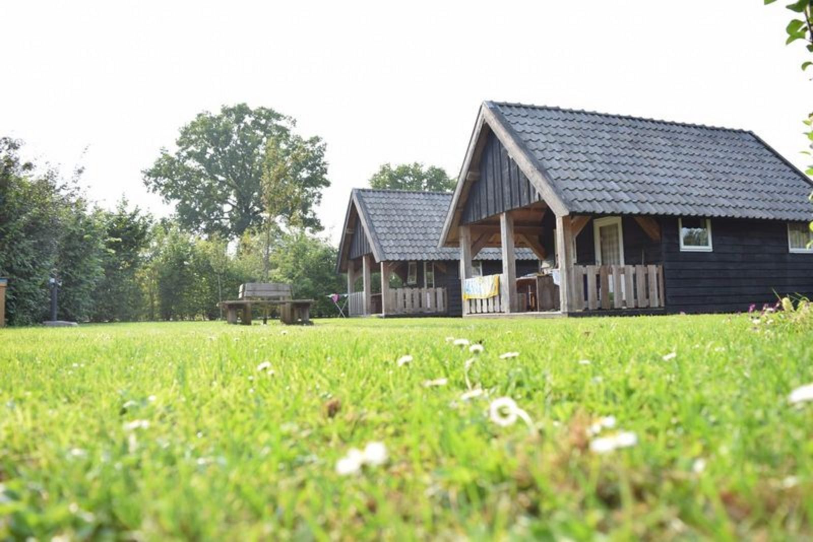 Houtlodge - 18 personen cover