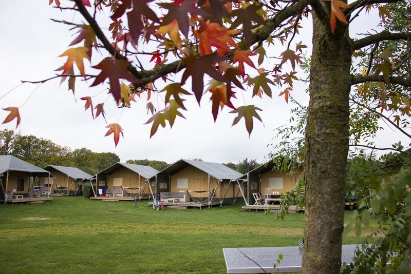 Luxe Safarilodge - 4 personen cover