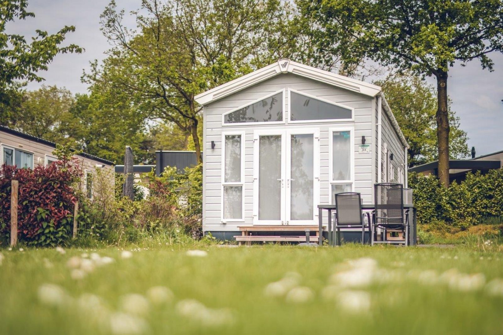 Tinyhouse Eekhoorn 4 personen cover